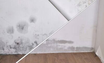 How People Do Mould Treatments Then vs. Now